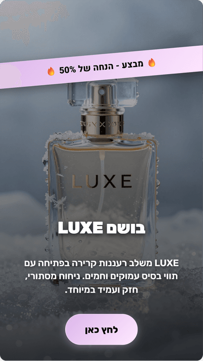 סגנון מודעה 1