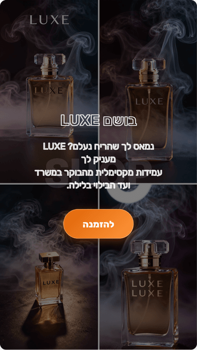 סגנון מודעה 3
